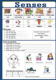 English Worksheet: Senses