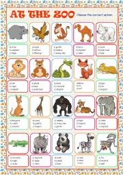 English Worksheet: At the Zoo (Multiple Choice)