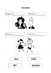 English Worksheet: Gender