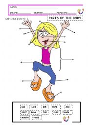 English Worksheet: PARTS OF THE BODY