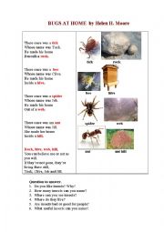 English Worksheet: Bugs at Home (a poem and questions to answer)