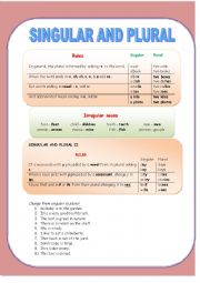 English Worksheet: Singular and plural nouns