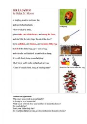 English Worksheet: Mr Ladybug (a funny poem about housework)