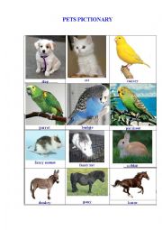 English Worksheet: PETS PICTIONARY