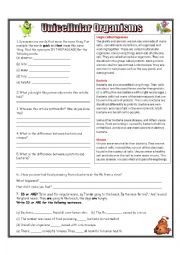 English Worksheet: Unicellular Organisms