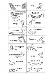 English Worksheet: BODY PARTS