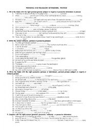 English Worksheet: pronouns