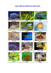 English Worksheet: AQUARIUM FISH