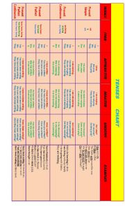 English Worksheet: TENSES CHART