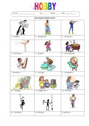 English Worksheet: Hobby