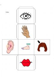 English Worksheet:  DICE BODY PARTS