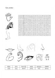 English Worksheet: Body word search