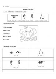 English Worksheet: Face Parts