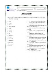 English Worksheet: Rainforest Matching