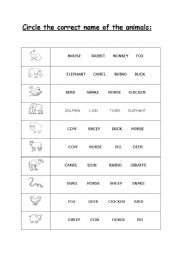 English Worksheet: Choose the correct name of animals