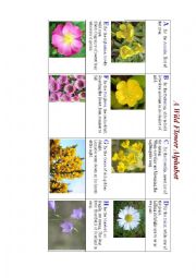 English Worksheet: WILD FLOWERS ABC (a poster and a poem)