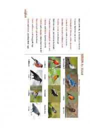 English Worksheet: BIRDS (a poem full of birds names)