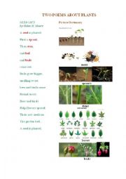 English Worksheet: PLANTS (2 poems)