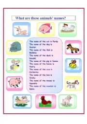 English Worksheet: What are these animals names?