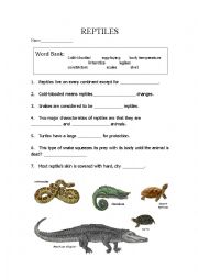 English Worksheet: Reptiles