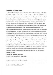 English Worksheet: Comprehension