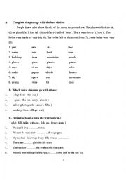 English Worksheet: any/no