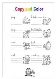 English Worksheet: Animals