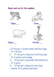 English Worksheet: Wild Animals