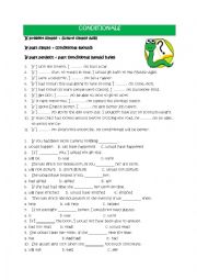 English Worksheet: Conditionals