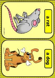 Farm animals flashcards PART 3