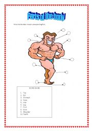English Worksheet: Parts Of the Body 2