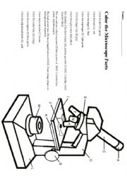 Parts of the Microscope