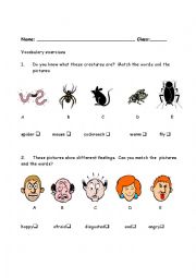 English Worksheet: Vocabulary exercises