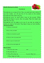 English Worksheet: Reading Comprehension