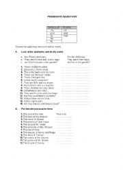 English Worksheet: possessive adjectives