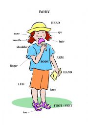 English Worksheet: Body (picture with basic words)