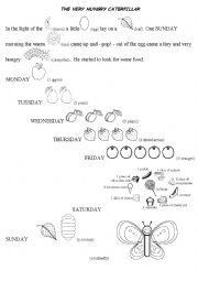 English Worksheet: The very hungry carterpillar