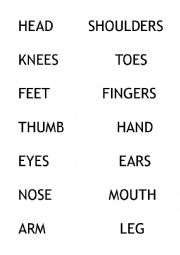 BODY PARTS