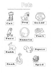 English Worksheet: Pets