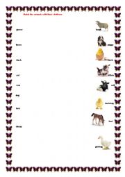 Animals and their children