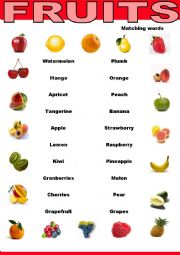 English Worksheet: Fruits matching-words