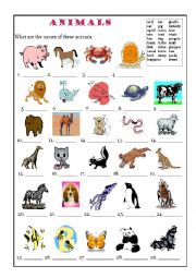 English Worksheet: Animals Match