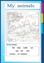 English Worksheet: My animals