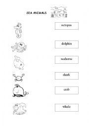 English Worksheet: sea animals