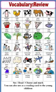 English Worksheet: Vocabulary 