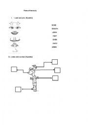 English Worksheet: BODY PARTS