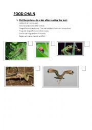 English Worksheet: Food chain