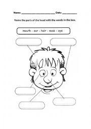 English Worksheet: Head Vocabulary