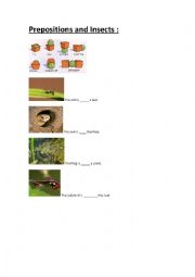 Prepositions and insects