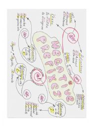 English Worksheet: Mindmap 